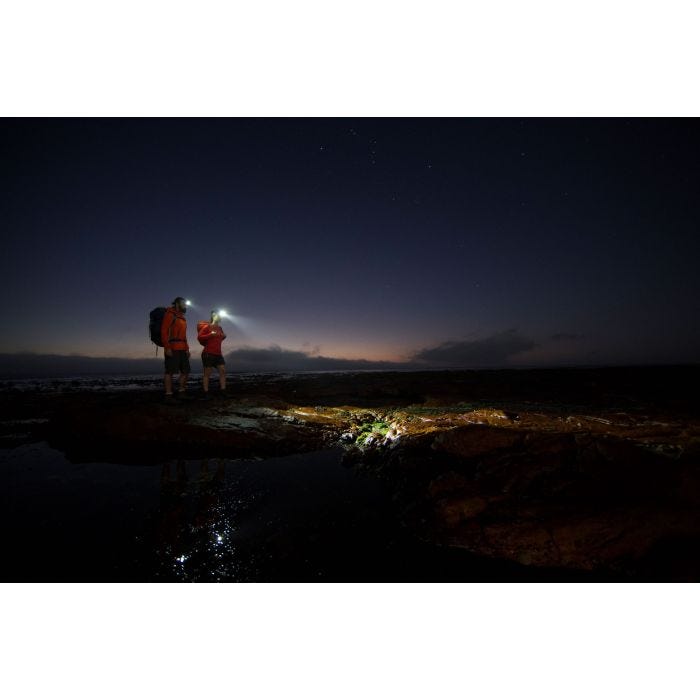 Foto von Ledlenser Kopflampe MH8 schwarz 600 Lumen wiederaufladbar