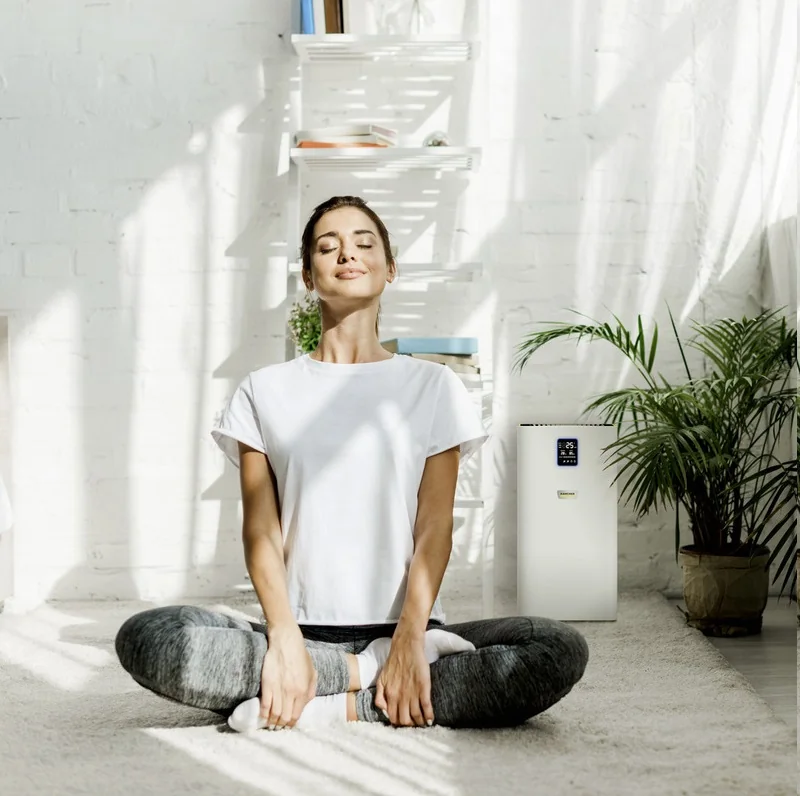 K&auml;rcher Luftreiniger